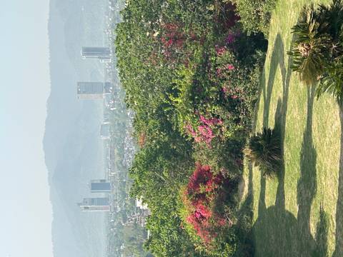       Panoramic view over lush gardens with blooming bougainvillea toward Islamabad’s modern skyline framed by hazy hills.
  