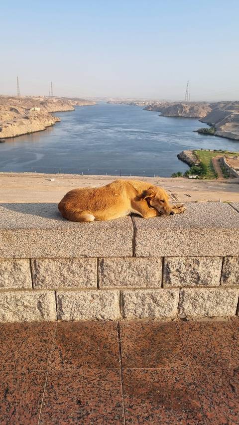       foto de reseña de cliente de Lo mejor de Turquía, Egipto y Jordania (Estambul/Cappadocia/El Cairo/Crucero por el Nilo/Petra)Todos los Vuelos Incluidos 
  
