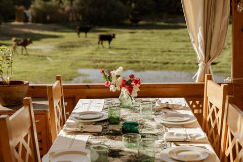       An inviting outdoor dining table overlooks a green field with grazing cattle.
  