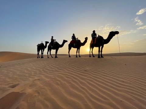       Silhouettes of riders on camels crossing golden dunes at sunset
  