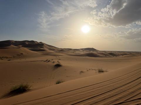       Vast golden dunes of the Sahara under a bright afternoon sun with soft clouds above.
  