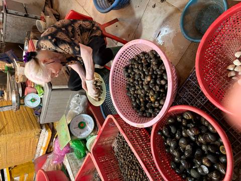       Elderly vendor sits sorting snails in baskets at a wet market stall.
  