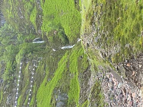       Narrow waterfall cascading down a lush green hillside in the Highlands.
  