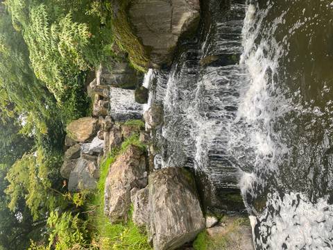       Small cascading waterfall in a landscaped Japanese-style garden.
  