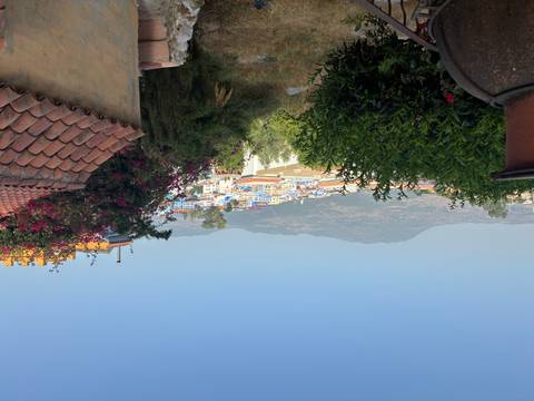       Panoramic view over Chefchaouen’s blue-painted houses framed by bougainvillea with mountain backdrop.
  