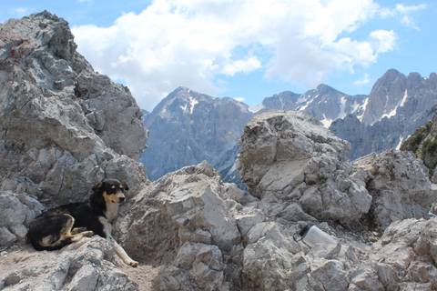       Klantbeoordelingsfoto van Peaks of the Balkans – een zelfgeleide wandeltocht – 7 dagen 
  