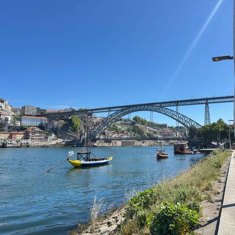       Dom Luís I Bridge spans the Douro River with traditional boats and colorful Porto hillside buildings.
  