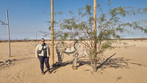       Solo traveller poses beside a mosaic elephant sculpture and sparse thorn tree in an arid desert landscape.
  