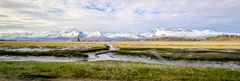       Snow-capped coastal mountains rise beyond tidal flats crossed by winding channels under a partly cloudy sky in Alaska.
  