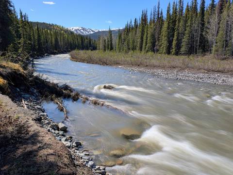       Fast-flowing forest river captured with silky motion blur beneath conifer-covered slopes.
  