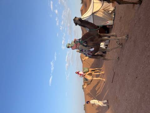       Riders sit atop camels outside desert tents as morning light illuminates sand dunes.
  