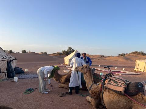       Travelers prepare camels for riding near low desert dunes and canvas tents.
  