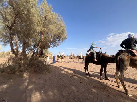       Camels and riders pause in the shade of desert trees before continuing their trek.
  