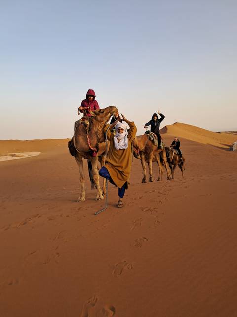       Camel riders strike playful yoga poses atop their mounts on reddish desert dunes at dawn.
  