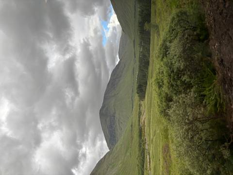       Moody highland glen with green meadows, forest and a brooding mountain under grey clouds.
  