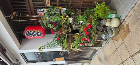       Street-side wooden display filled with colorful potted flowers beneath a red paper lantern.
  
