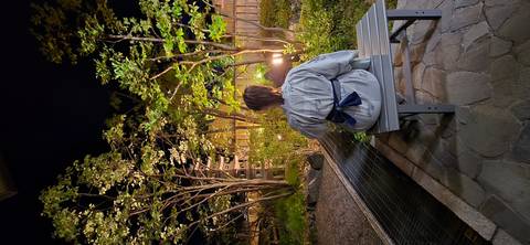      Person in yukata sits on bench enjoying a softly lit garden at night
  