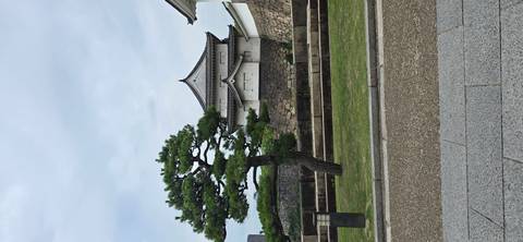       Stone walls and pine tree beside a small castle turret under overcast sky
  