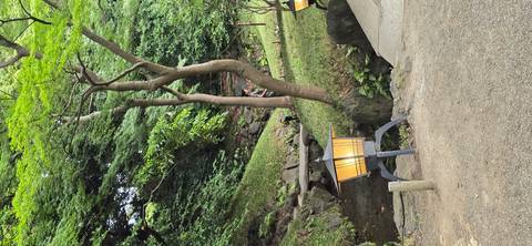       Pathway beside small stream and lanterns within a shaded garden area
  