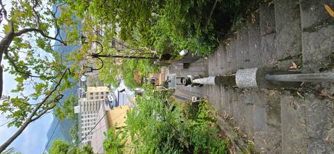       Long stone staircase descending through dense greenery toward town rooftops below
  