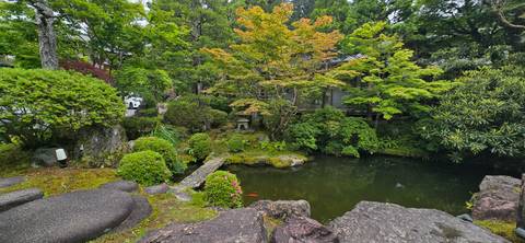       Traditional Japanese garden pond surrounded by vibrant green foliage and rocks
  