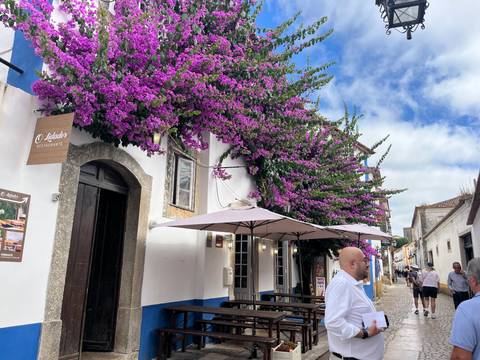       Whitewashed restaurant façade draped in vibrant purple bougainvillea on a quaint street
  