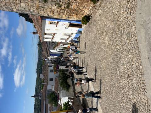       Crowded medieval village street sloping downhill past white and blue houses
  
