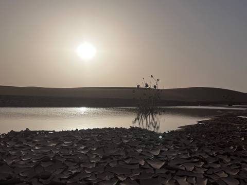       Low sun over quiet desert dunes reflecting in a shallow pool with cracked mud in the foreground.
  