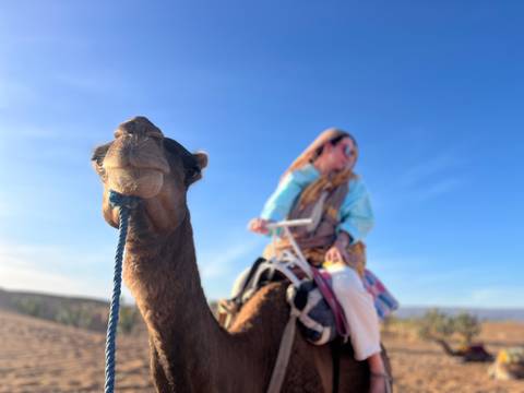       Close-up camel head in focus while a rider in colorful scarf smiles in the blurred background.
  