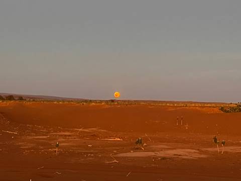       Large orange moon rises over a flat, empty desert landscape at dusk.
  