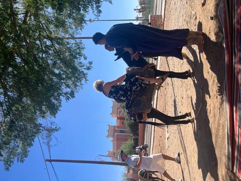       Woman climbs onto a small donkey with help from two locals beneath leafy shade.
  