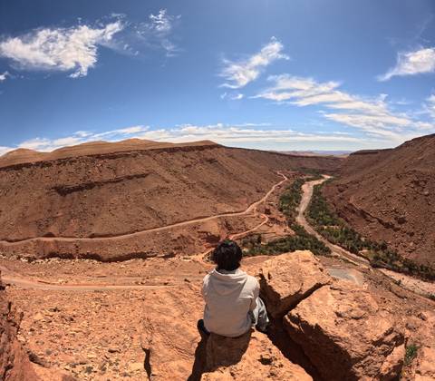       A person sits on a rocky lookout gazing over a winding desert river valley and serpentine road under a bright blue sky.
  