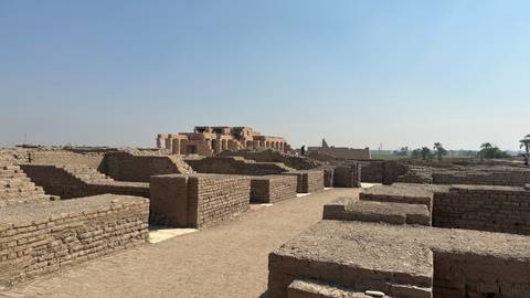       Ancient mud-brick ruins and walls stretch across a sandy archaeological site under a pale sky.
  