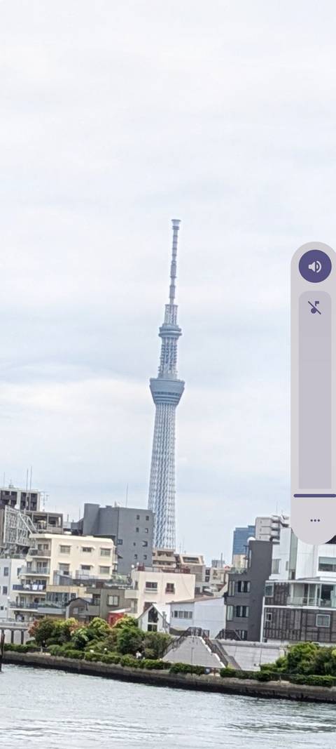       A distant view of Tokyo Skytree appears in a cropped mobile screenshot with interface bars.
  