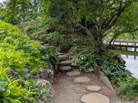       Stepping-stone pathway winds through dense green foliage beside a wooden footbridge.
  