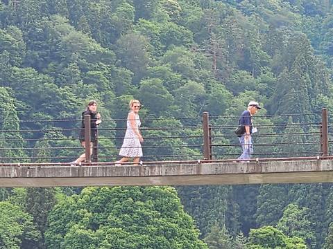       Three people walk across a narrow bridge surrounded by dense green forest.
  