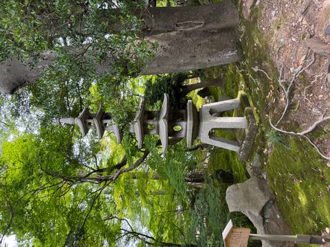       Stone lantern pagoda surrounded by mossy ground and leafy trees in a tranquil garden.
  