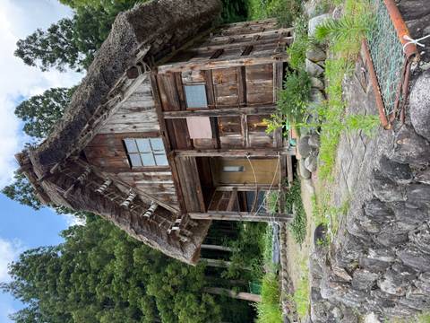       Rustic thatched-roof cottage surrounded by towering cedar trees and stone terrace.
  