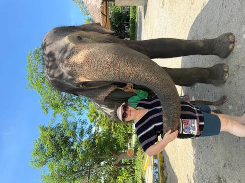       Traveler smiling beside a towering elephant on a sunny day with trees in the background.
  