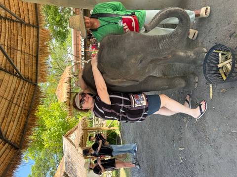      Smiling woman hugging a young elephant at an outdoor elephant camp beneath a thatched roof.
  