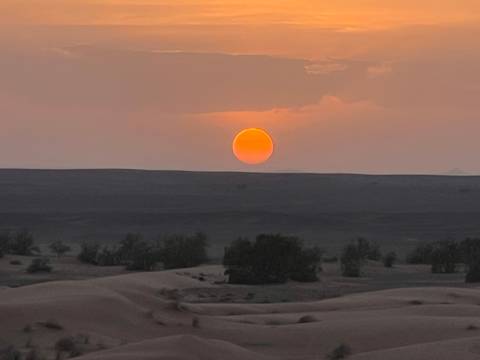       Fiery orange sun sets over vast Sahara dunes and sparse desert trees.
  