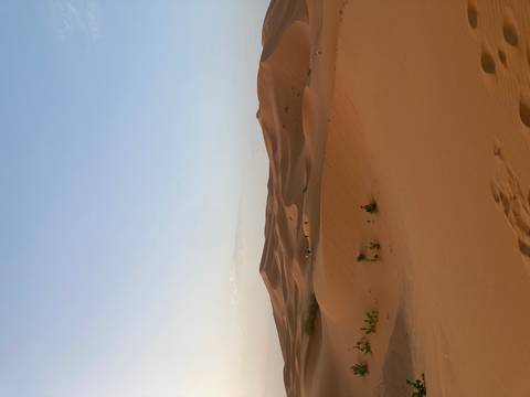       Vast golden Sahara dunes ripple beneath a pale dawn sky with tiny trekkers on a ridge.
  