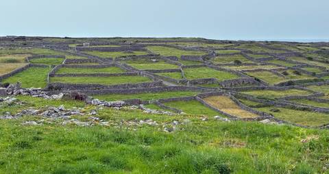       Patchwork of ancient stone field walls and green grasslands under a pale sky
  