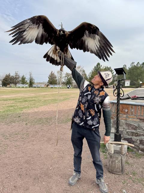       Kyrgyz falconer holding a golden eagle aloft during a traditional demonstration in an open field.
  