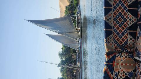       Traditional felucca sailboats gliding on the Nile River with palm-lined banks
  