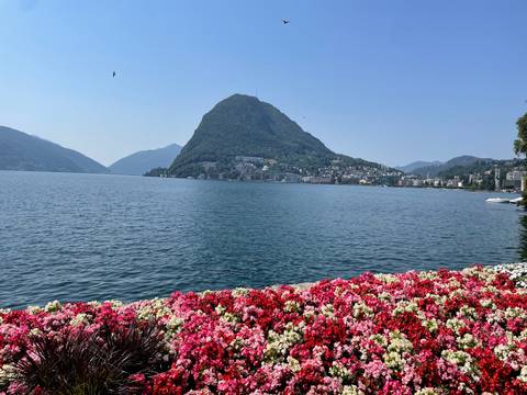       Bright lake with colorful flower bed in the foreground and a prominent green mountain rising behind a lakeside town.
  