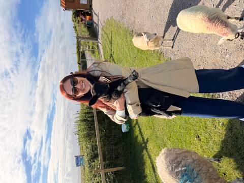       Traveler holding a black lamb on a sunny farm path with grazing sheep and blue sky
  