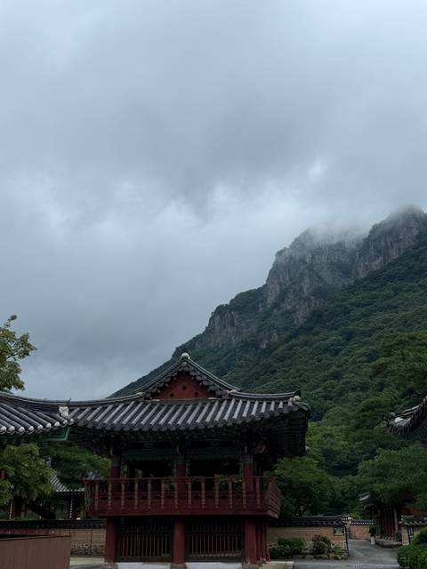       Traditional Korean temple roof framed against dramatic mist-covered mountains and a grey sky.
  
