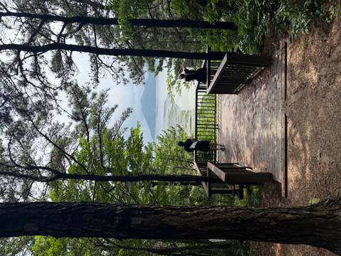      Wooded trail leading to a viewing deck overlooking a river delta; two travellers taking photos of the view.
  