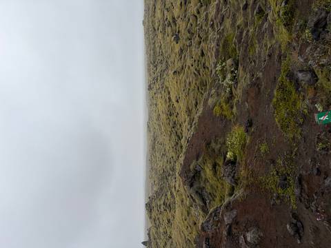       Endless moss-covered lava field stretching toward the foggy horizon under a grey sky
  
